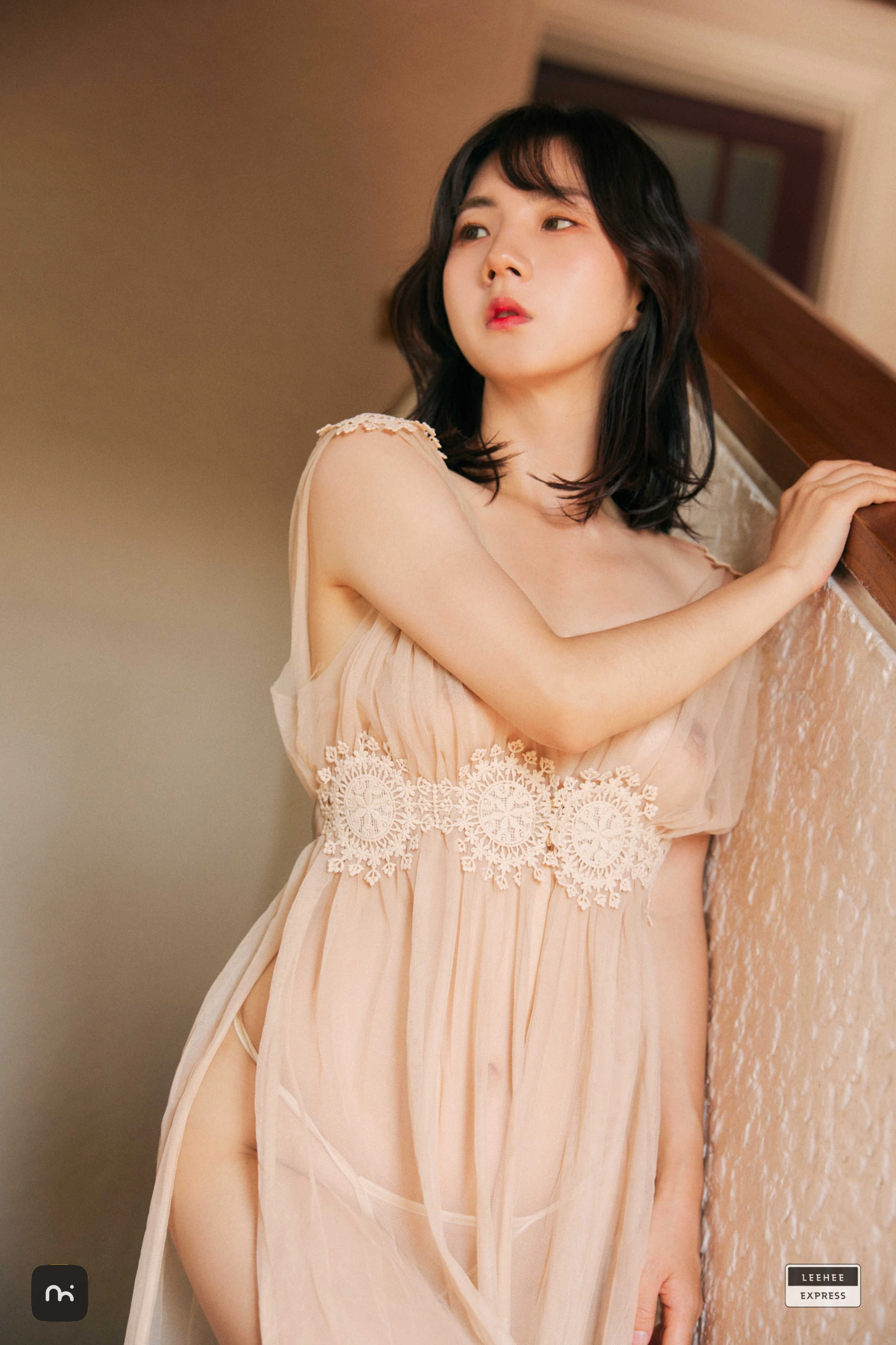 LeeheeExpress – NO.520 LEHC-218B - Ray 2